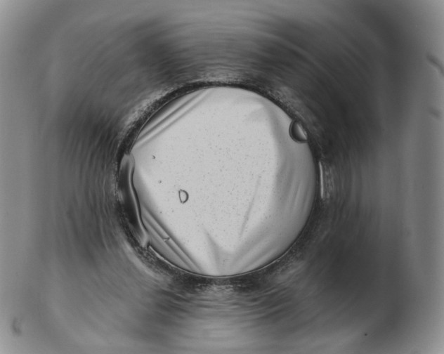 X0000103150252200809121822