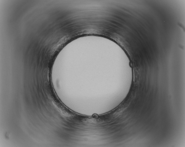 X0000103150253200809121822