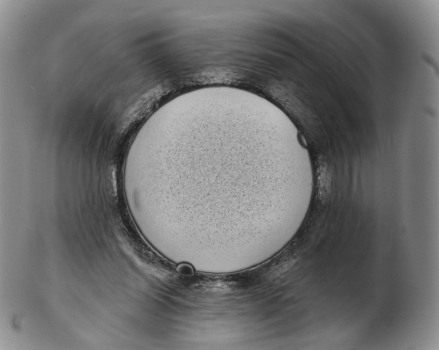 X0000103150254200809121822