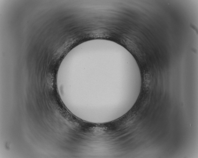 X0000103150255200809121822