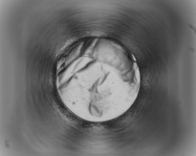 X0000103150256200809121822