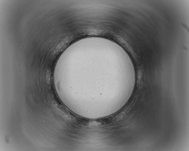 X0000103150257200809121822