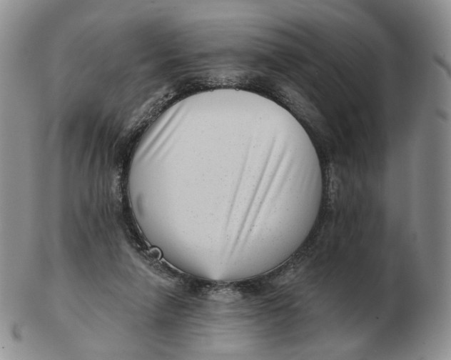 X0000103150258200809121822