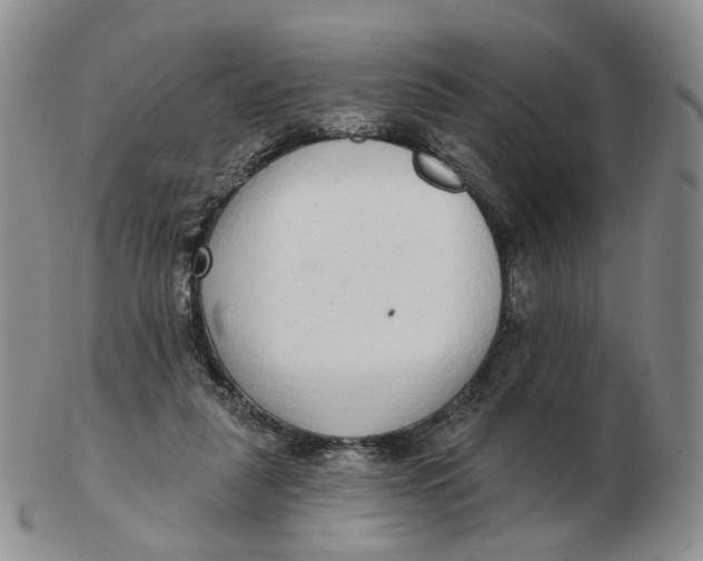 X0000103150259200809121822