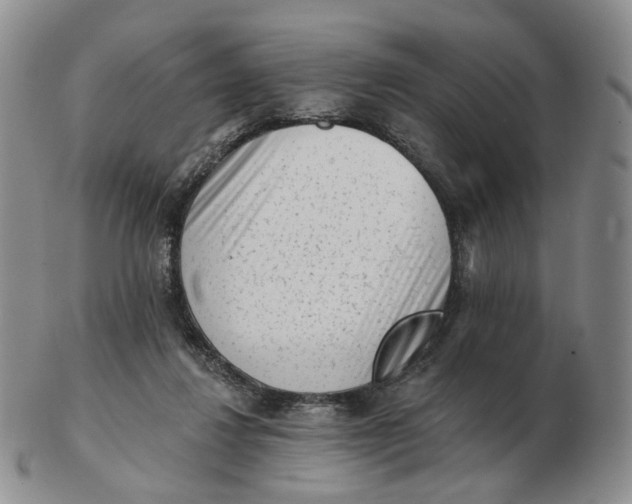 X0000103150260200809121822