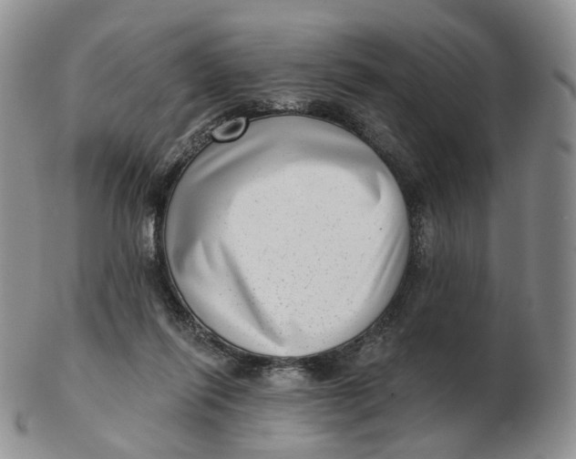 X0000103150262200809121823