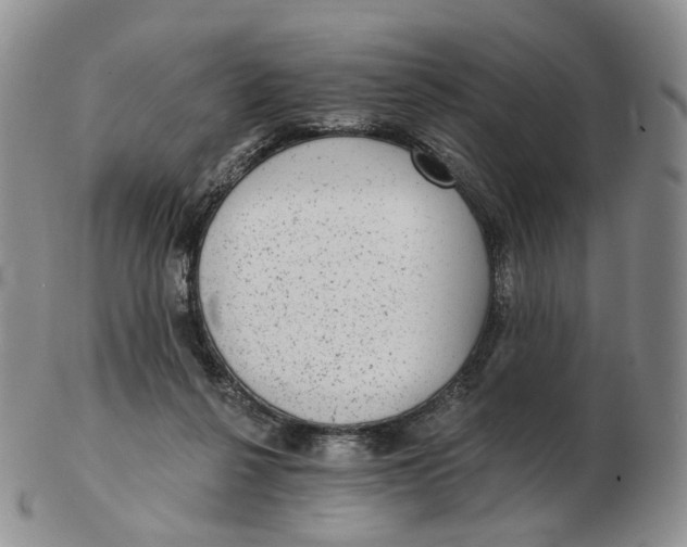 X0000103150264200809121823