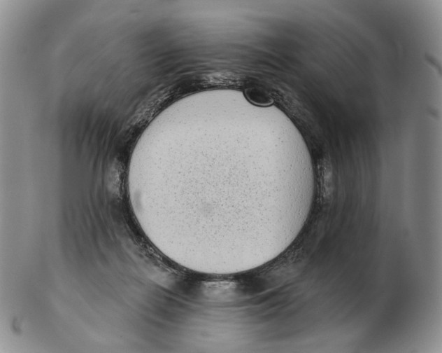 X0000103150266200809121823