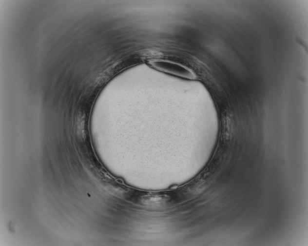 X0000103150267200809121823