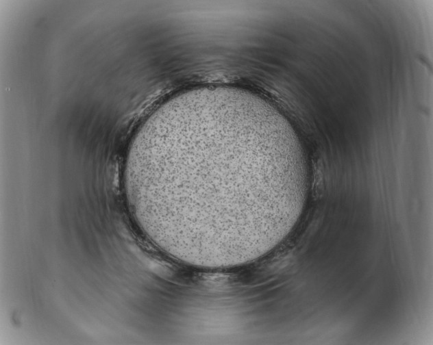 X0000103150268200809121823