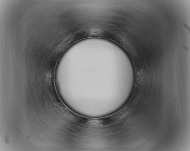 X0000103150269200809121823