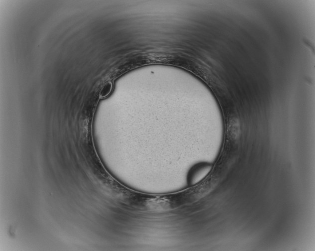 X0000103150271200809121823