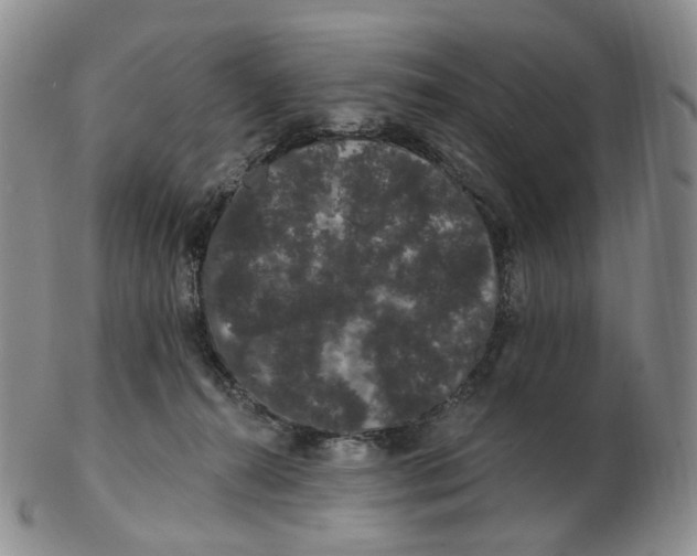 X0000103150272200809121823