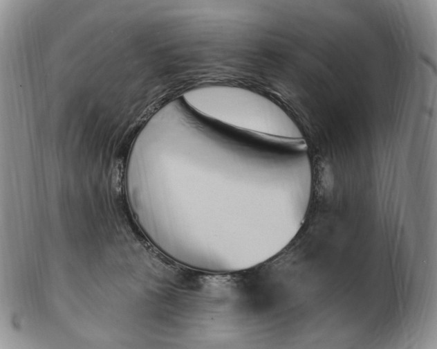 X0000103150273200809121823