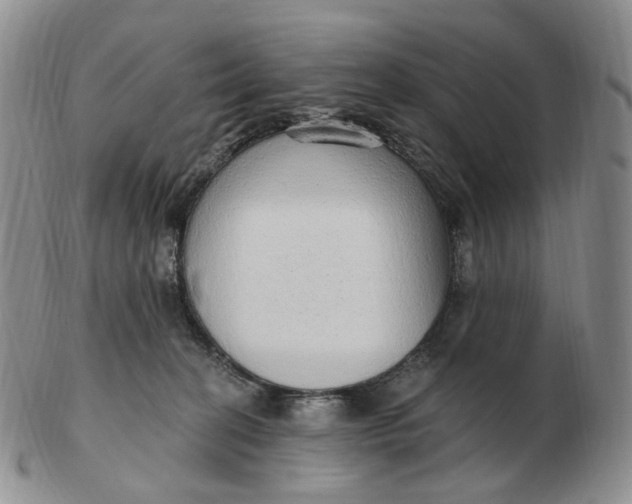 X0000103150274200809121823