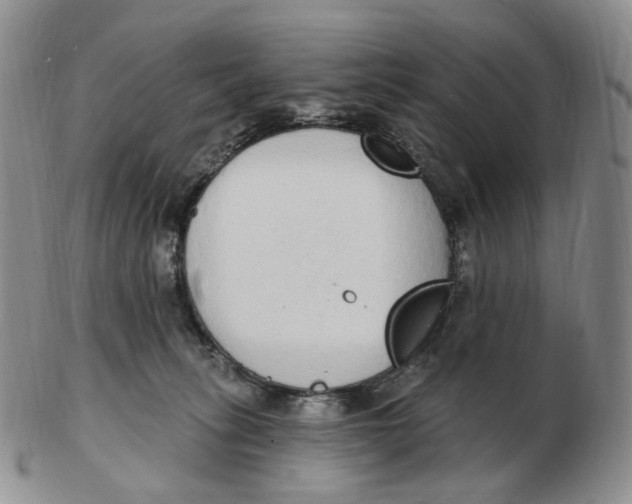 X0000103150275200809121823