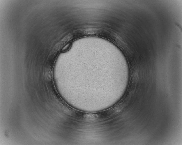 X0000103150277200809121823