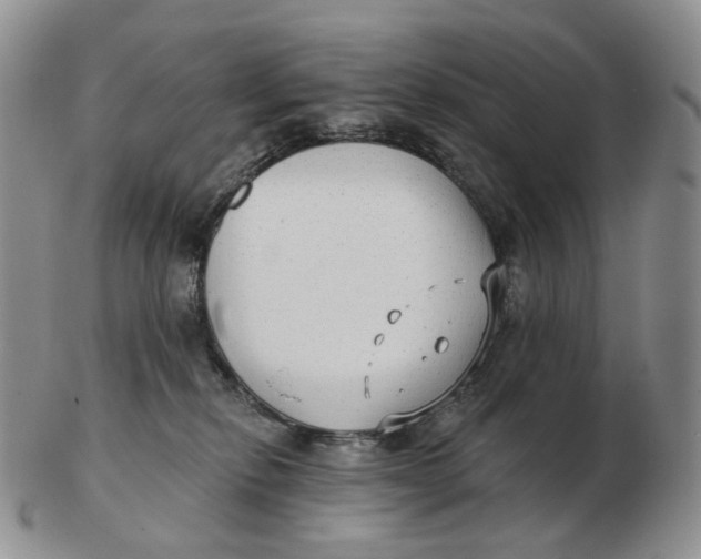 X0000103150278200809121823