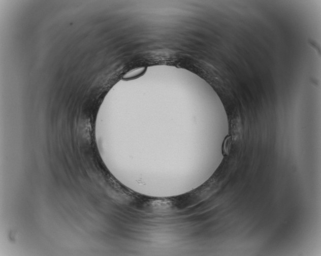 X0000103150279200809121823