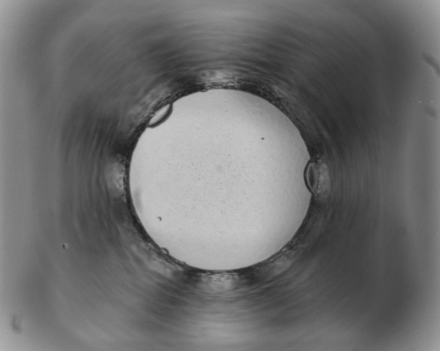 X0000103150282200809121823