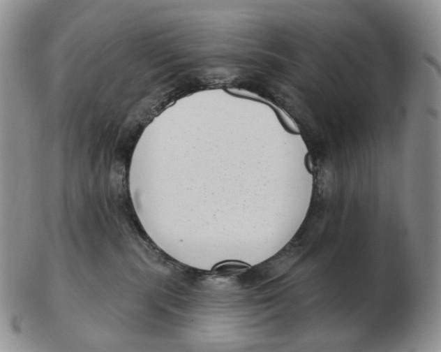 X0000103150283200809121823