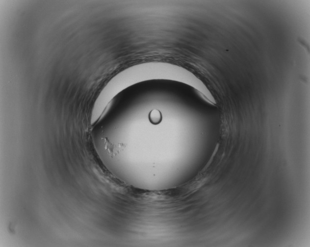 X0000103150284200809121823