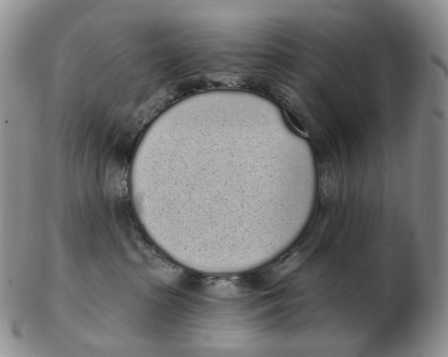 X0000103150285200809121823