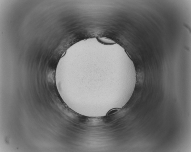 X0000103150286200809121823