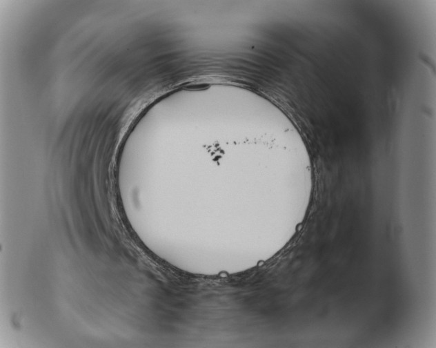 X0000103150289200809121822