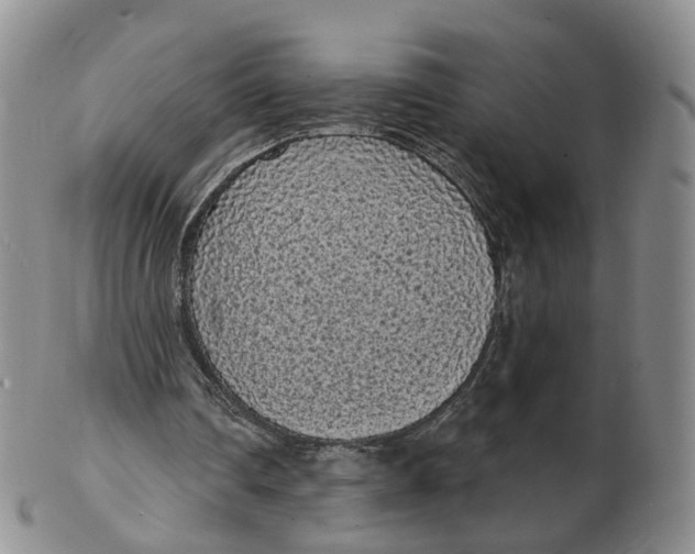 X0000103150290200809121822