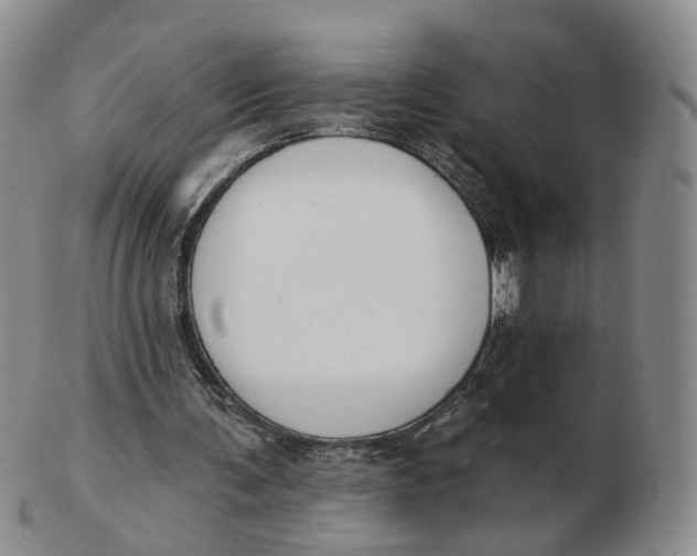 X0000103150291200809121822