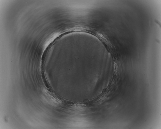 X0000103150292200809121822