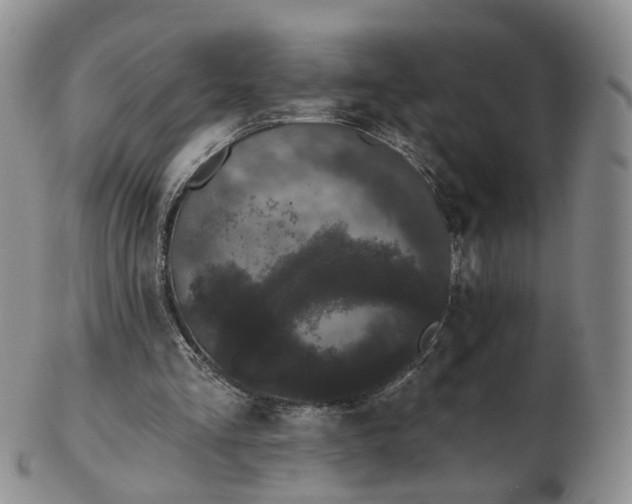 X0000103150293200809121822