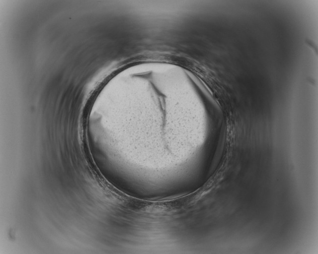 X0000103150294200809121822