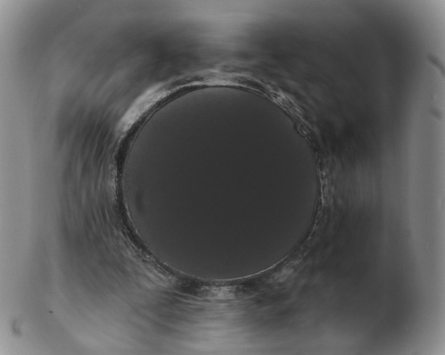 X0000103150295200809121822