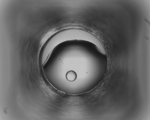 X0000103150296200809121822