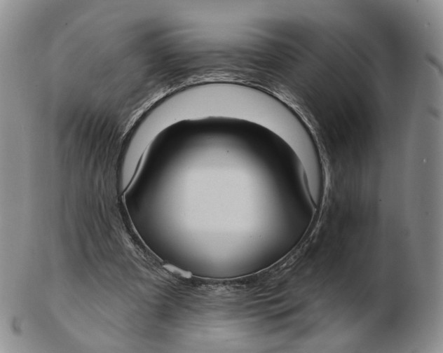 X0000103150297200809121822