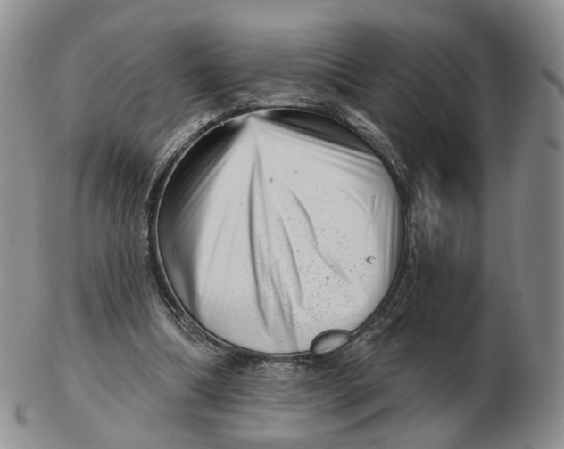 X0000103150298200809121822