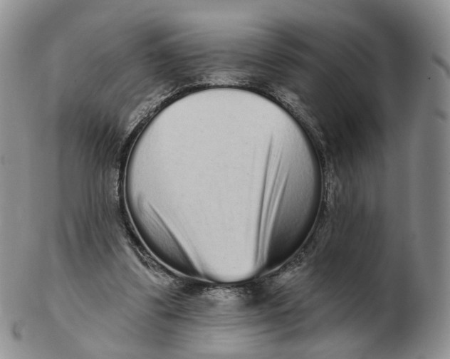 X0000103150299200809121822