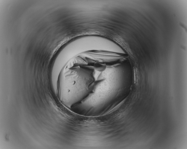 X0000103150300200809121822