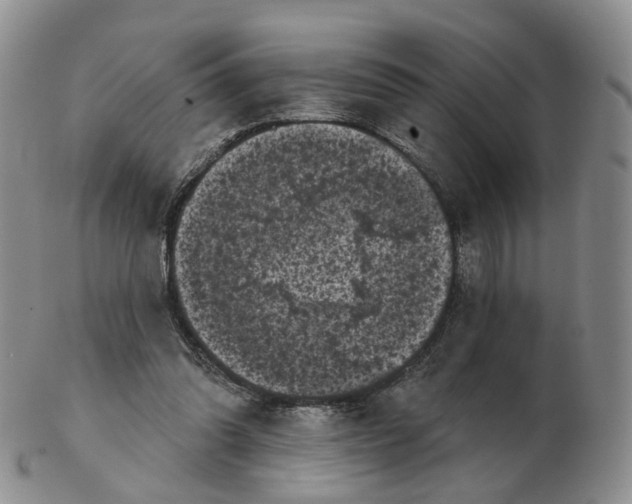 X0000103150302200809121822