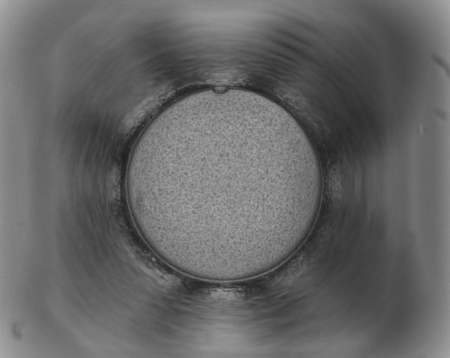 X0000103150303200809121822