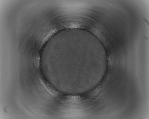 X0000103150304200809121822