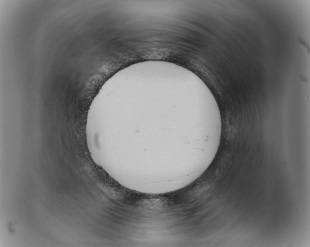 X0000103150307200809121822