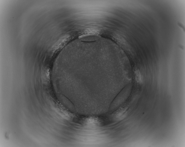 X0000103150308200809121822