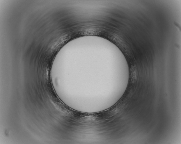 X0000103150310200809121822