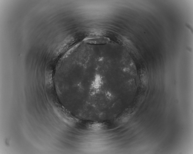 X0000103150312200809121822