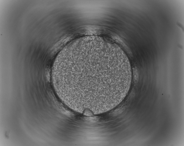 X0000103150313200809121822