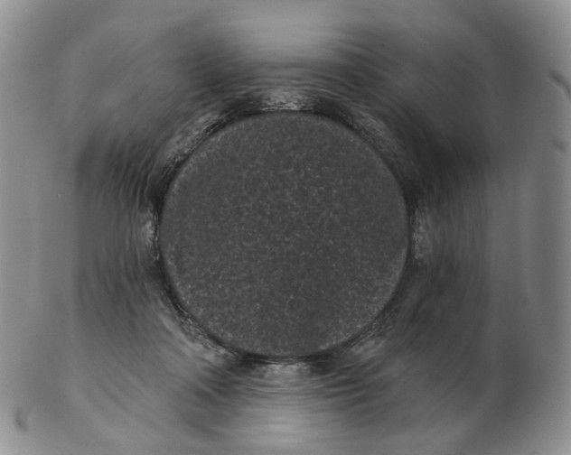 X0000103150314200809121822