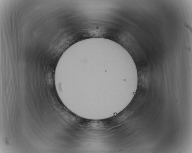 X0000103150317200809121822